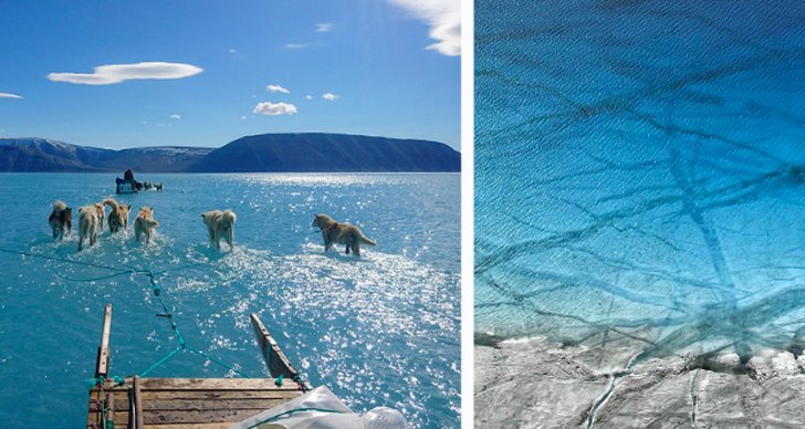 Arktis, Värmebölja, SMHI, Grönland